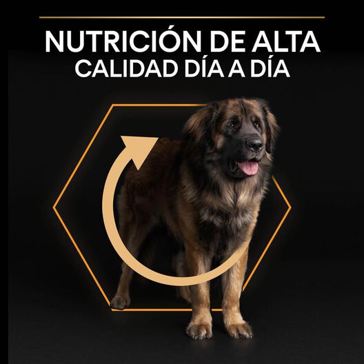Pro Plan Large Robust Adult pienso para perros, , large image number null